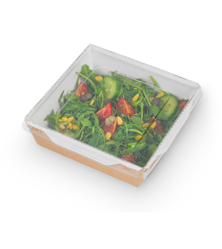 Контейнер OSQ OPSALAD 900